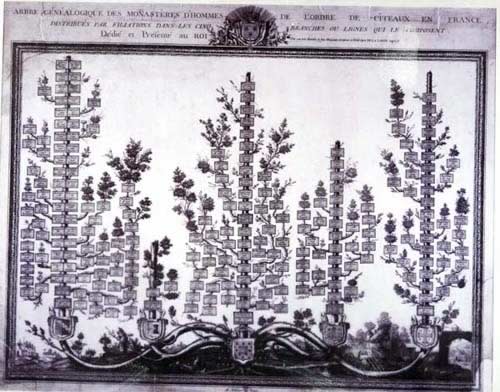 Genealogy of Cistercian Abbeys.jpg